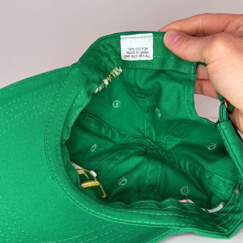 Tampa Bay Rays TB Florida Irish Green Hat Cap Irish Flag Strapback Dad Hat
